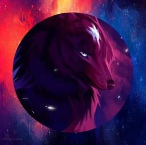 Meet your Posher, Cassandra